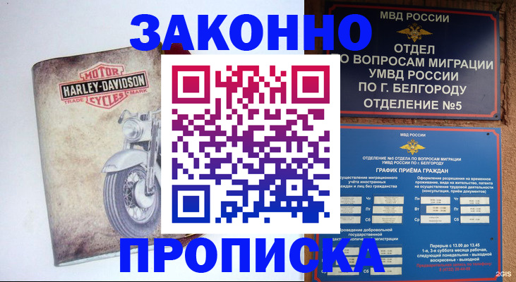 прописка для школы в Междуреченске